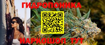 ALPHA PVP Гусев