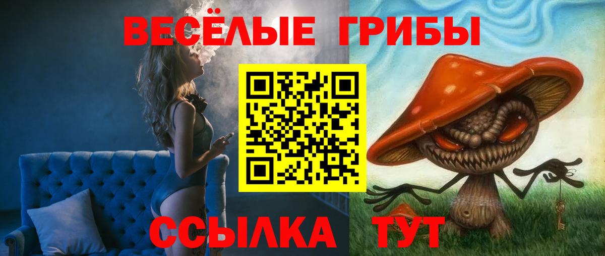 Галлюциногенные грибы Cubensis Мценск