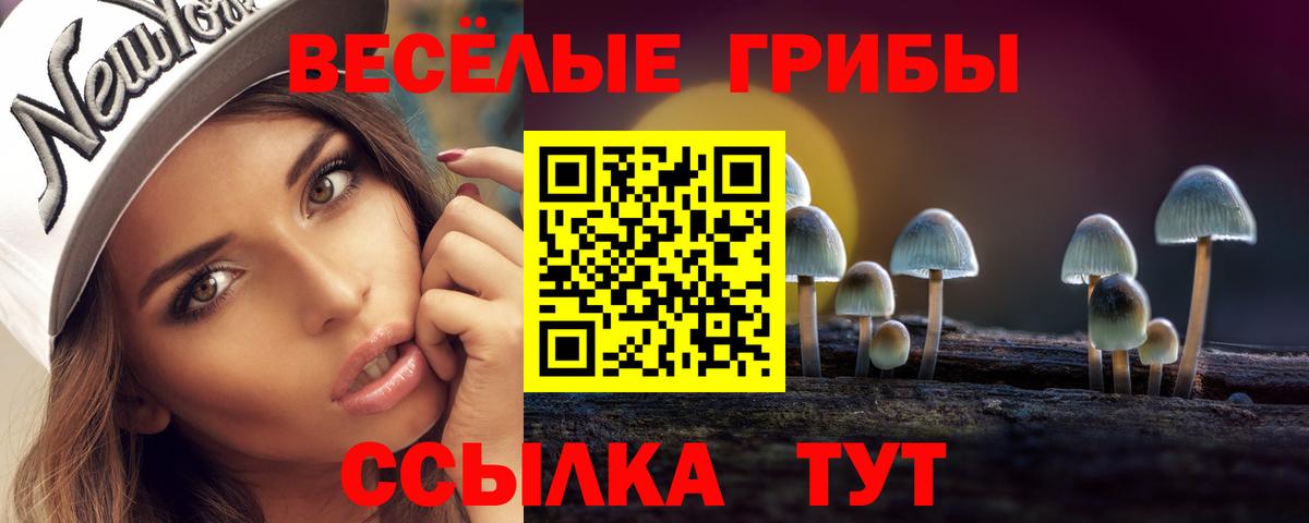 Мценск  Псилоцибиновые грибы Magic Shrooms  закладки  Вход с VPN 